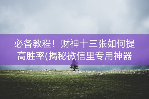 必备教程！财神十三张如何提高胜率(揭秘微信里专用神器)