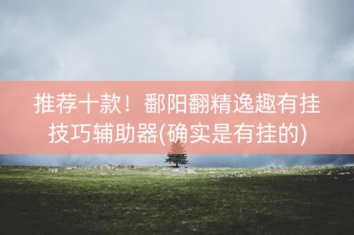 推荐十款！鄱阳翻精逸趣有挂技巧辅助器(确实是有挂的)