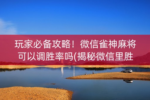 玩家必备攻略！微信雀神麻将可以调胜率吗(揭秘微信里胜率到哪调)