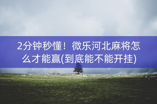2分钟秒懂！微乐河北麻将怎么才能赢(到底能不能开挂)