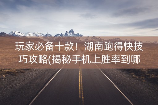 玩家必备十款！湖南跑得快技巧攻略(揭秘手机上胜率到哪调)
