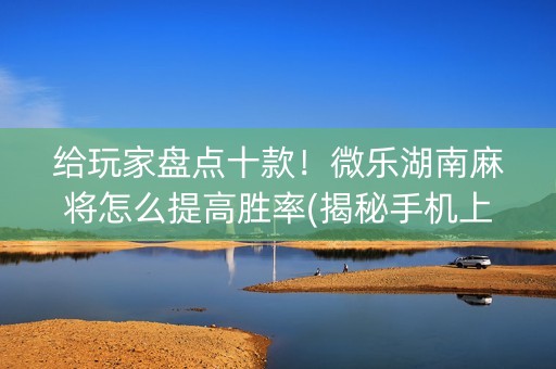 给玩家盘点十款！微乐湖南麻将怎么提高胜率(揭秘手机上提高胜率)