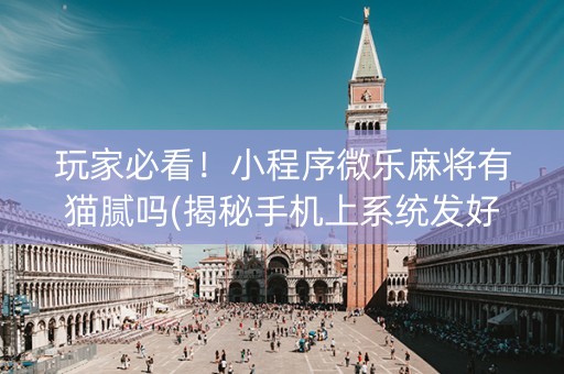玩家必看！小程序微乐麻将有猫腻吗(揭秘手机上系统发好牌)