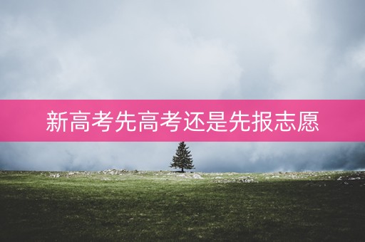 新高考先高考还是先报志愿