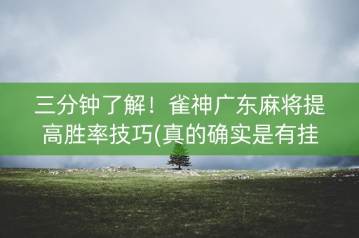 三分钟了解！雀神广东麻将提高胜率技巧(真的确实是有挂)