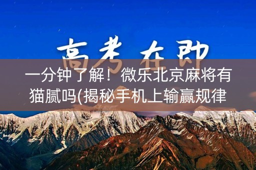 一分钟了解！微乐北京麻将有猫腻吗(揭秘手机上输赢规律)