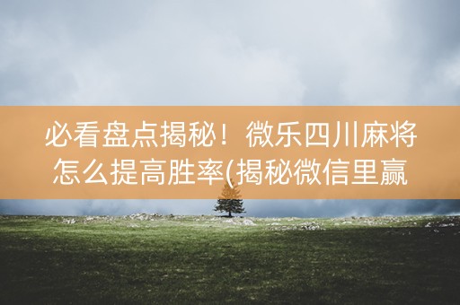 必看盘点揭秘！微乐四川麻将怎么提高胜率(揭秘微信里赢的秘诀)