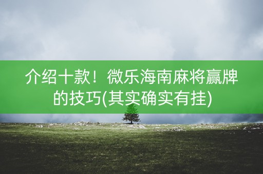 介绍十款！微乐海南麻将赢牌的技巧(其实确实有挂)