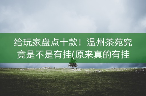 给玩家盘点十款！温州茶苑究竟是不是有挂(原来真的有挂)