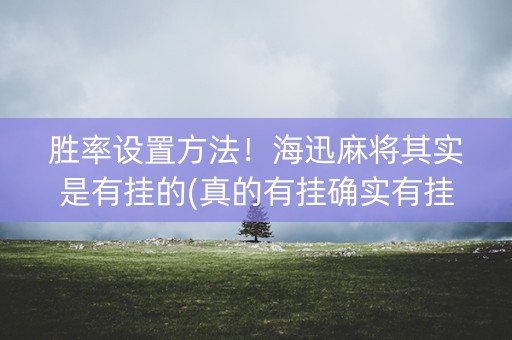 胜率设置方法！海迅麻将其实是有挂的(真的有挂确实有挂)