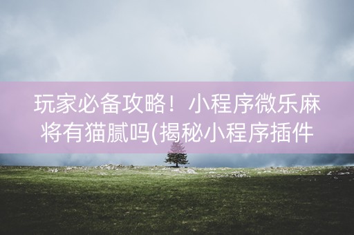 玩家必备攻略！小程序微乐麻将有猫腻吗(揭秘小程序插件免费)