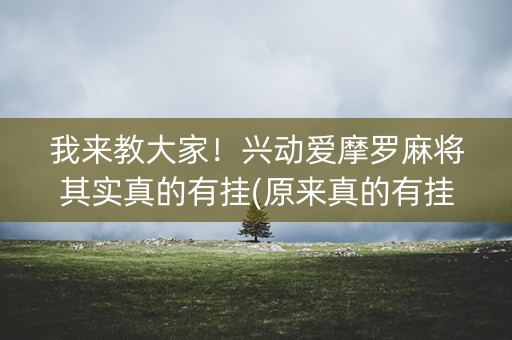 我来教大家！兴动爱摩罗麻将其实真的有挂(原来真的有挂)
