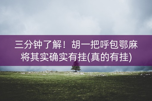 三分钟了解！胡一把呼包鄂麻将其实确实有挂(真的有挂)