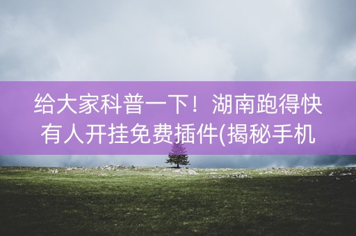 给大家科普一下！湖南跑得快有人开挂免费插件(揭秘手机上提高赢的概率)