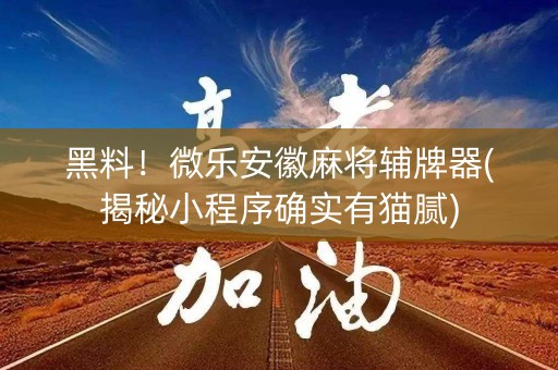 黑料！微乐安徽麻将辅牌器(揭秘小程序确实有猫腻)