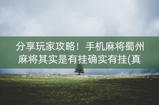 分享玩家攻略！手机麻将蜀州麻将其实是有挂确实有挂(真的有挂)