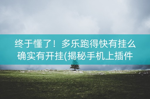 终于懂了！多乐跑得快有挂么确实有开挂(揭秘手机上插件免费)