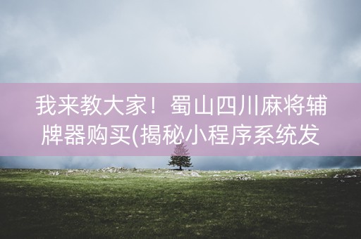 我来教大家！蜀山四川麻将辅牌器购买(揭秘小程序系统发好牌)