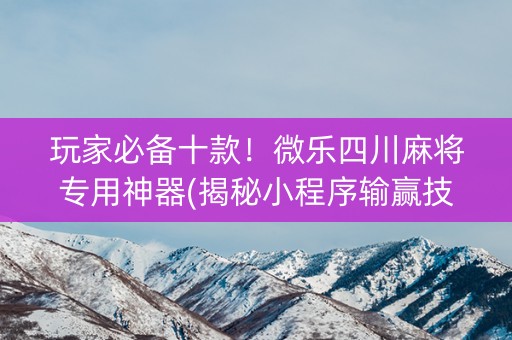 玩家必备十款！微乐四川麻将专用神器(揭秘小程序输赢技巧)