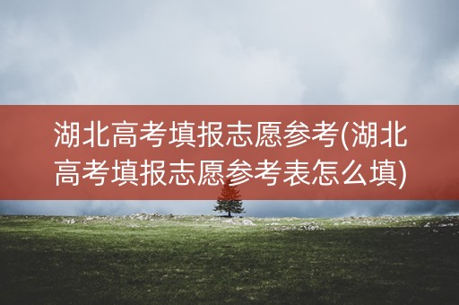 湖北高考填报志愿参考(湖北高考填报志愿参考表怎么填)