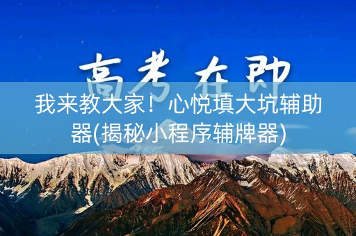 我来教大家！心悦填大坑辅助器(揭秘小程序辅牌器)