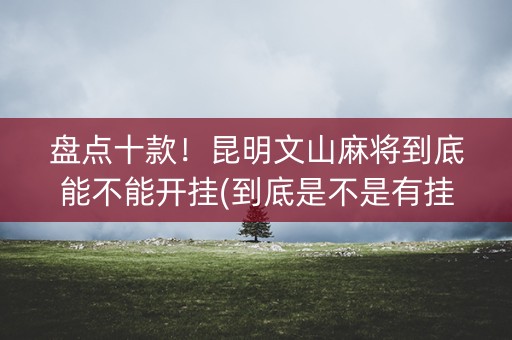 盘点十款！昆明文山麻将到底能不能开挂(到底是不是有挂)