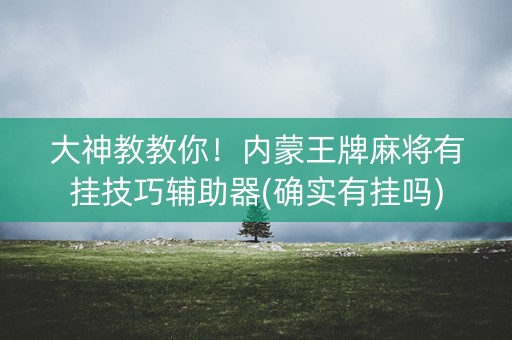 大神教教你！内蒙王牌麻将有挂技巧辅助器(确实有挂吗)