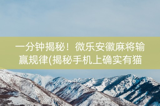 一分钟揭秘！微乐安徽麻将输赢规律(揭秘手机上确实有猫腻)