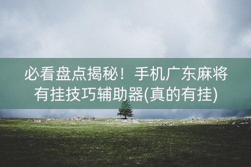 必看盘点揭秘！手机广东麻将有挂技巧辅助器(真的有挂)
