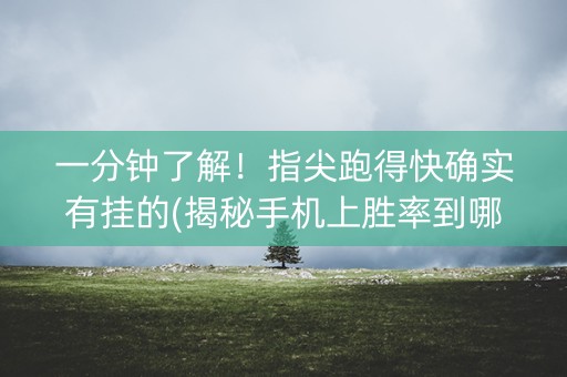 一分钟了解！指尖跑得快确实有挂的(揭秘手机上胜率到哪调)