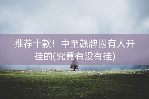 推荐十款！中至赣牌圈有人开挂的(究竟有没有挂)