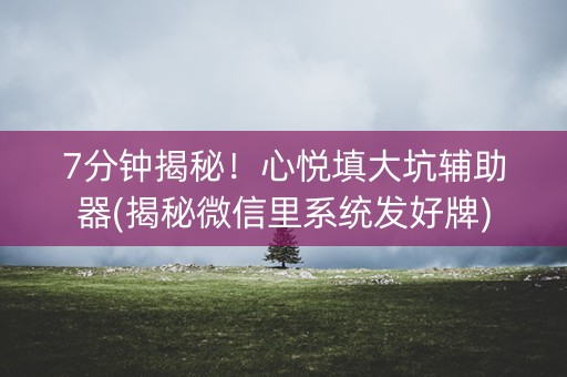 7分钟揭秘！心悦填大坑辅助器(揭秘微信里系统发好牌)