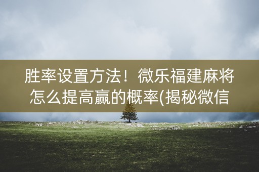 胜率设置方法！微乐福建麻将怎么提高赢的概率(揭秘微信里提高赢的概率)