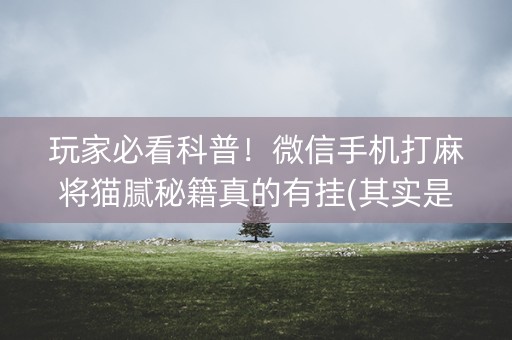 玩家必看科普！微信手机打麻将猫腻秘籍真的有挂(其实是有挂的)