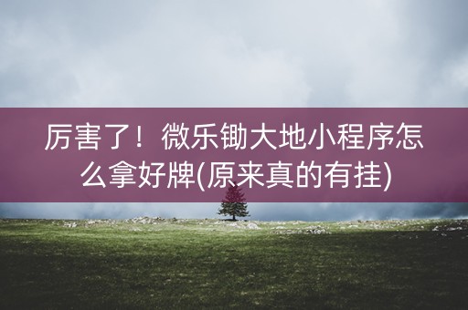 厉害了！微乐锄大地小程序怎么拿好牌(原来真的有挂)