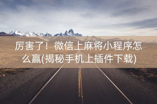 厉害了！微信上麻将小程序怎么赢(揭秘手机上插件下载)