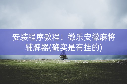 安装程序教程！微乐安徽麻将辅牌器(确实是有挂的)