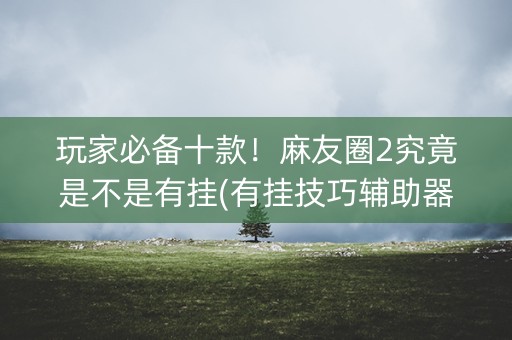 玩家必备十款！麻友圈2究竟是不是有挂(有挂技巧辅助器)