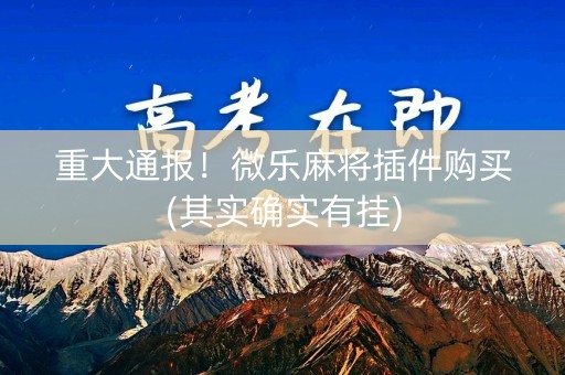 重大通报！微乐麻将插件购买(其实确实有挂)