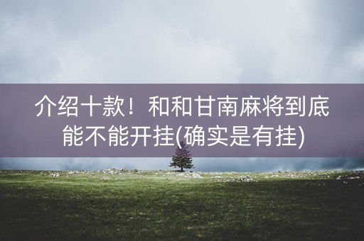介绍十款！和和甘南麻将到底能不能开挂(确实是有挂)