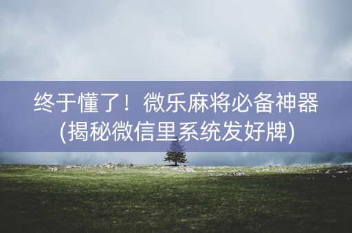 终于懂了！微乐麻将必备神器(揭秘微信里系统发好牌)