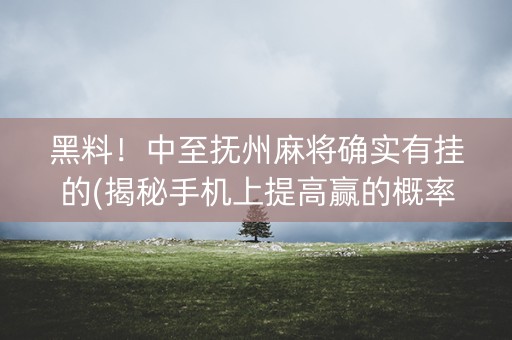 黑料！中至抚州麻将确实有挂的(揭秘手机上提高赢的概率)