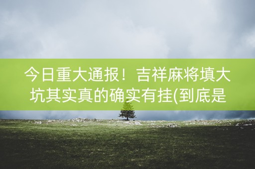 今日重大通报！吉祥麻将填大坑其实真的确实有挂(到底是不是有挂)
