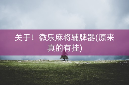 关于！微乐麻将辅牌器(原来真的有挂)