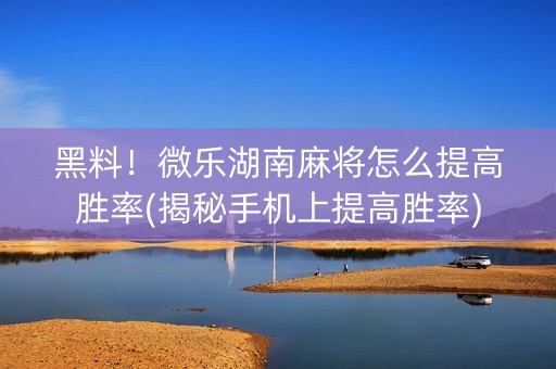 黑料！微乐湖南麻将怎么提高胜率(揭秘手机上提高胜率)