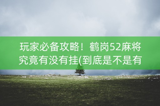 玩家必备攻略！鹤岗52麻将究竟有没有挂(到底是不是有挂)