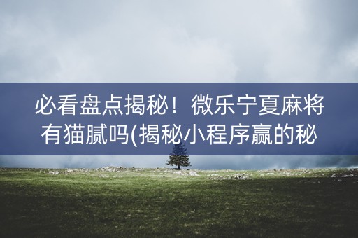 必看盘点揭秘！微乐宁夏麻将有猫腻吗(揭秘小程序赢的秘诀)