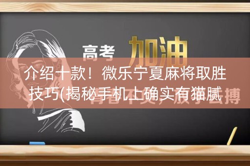 介绍十款！微乐宁夏麻将取胜技巧(揭秘手机上确实有猫腻)