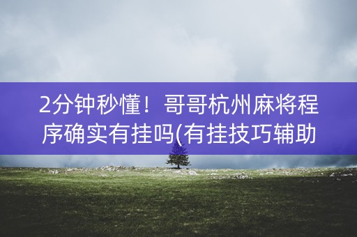 2分钟秒懂！哥哥杭州麻将程序确实有挂吗(有挂技巧辅助器)