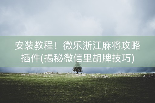 安装教程！微乐浙江麻将攻略插件(揭秘微信里胡牌技巧)